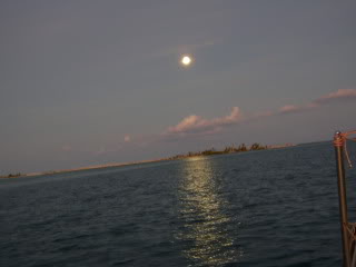 Name:  DSC03951.jpg
Views: 57
Size:  32.4 KB
