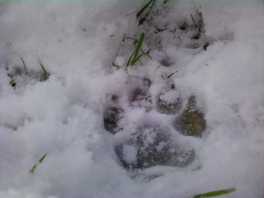 Name:  1207091010-00.jpg
Views: 60
Size:  52.2 KB