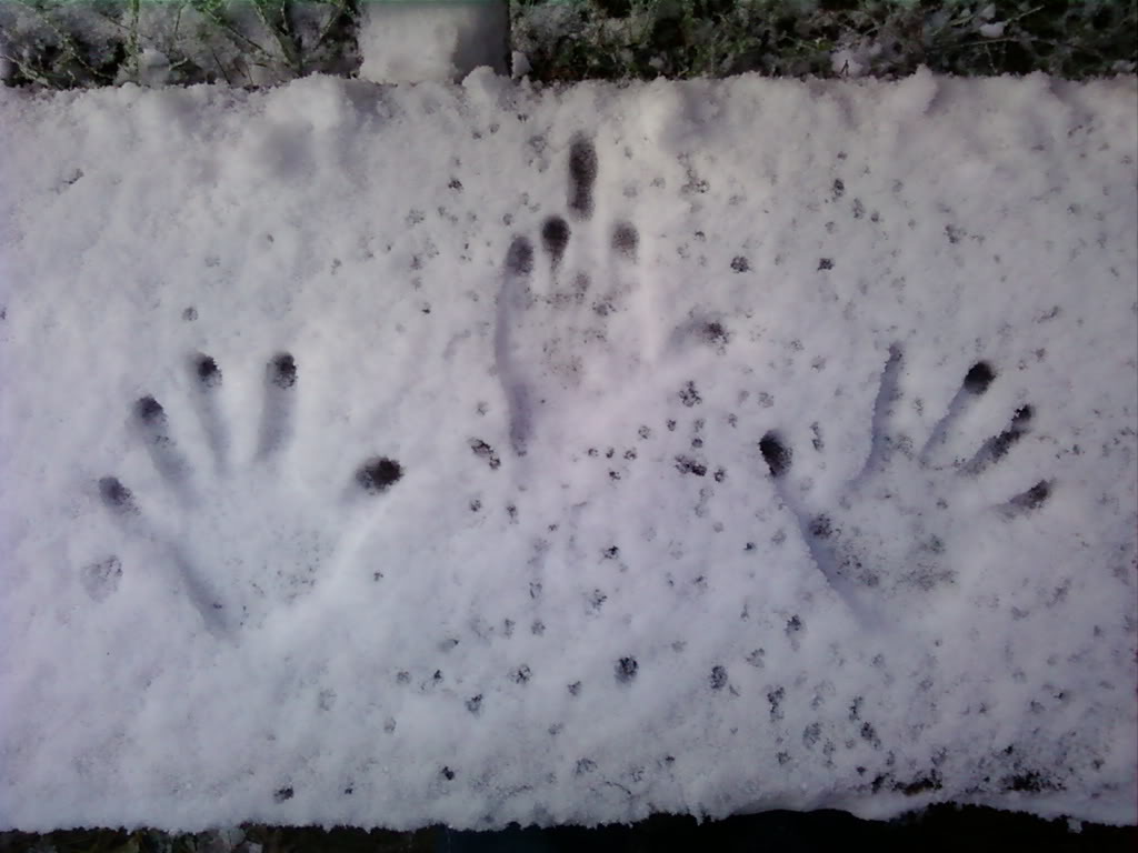 Name:  1207091108-00.jpg
Views: 53
Size:  78.3 KB