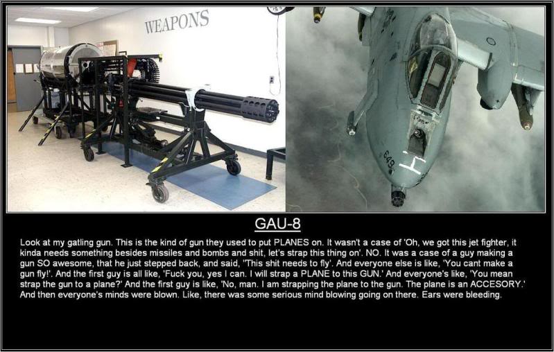 Name:  gau-8.jpg
Views: 33
Size:  68.3 KB