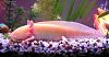 Hi Guys (the pet thread)-mexican-walking-fish-albino.jpg