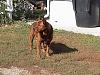 Hi Guys (the pet thread)-dsc00070.jpg