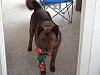 Hi Guys (the pet thread)-dsc00113.jpg