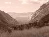 Show us your photos-dsc07623-sized.jpg