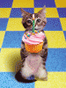 Hello!-birthday-cat.gif