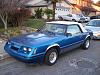 arived!!-mustang2.jpg
