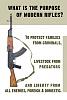 obama gun ban? what do you think ?-thisismygun-.jpg