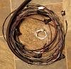 Mega Squirt high quality custom harnesses-20141026_222256%7E01_resized.jpg