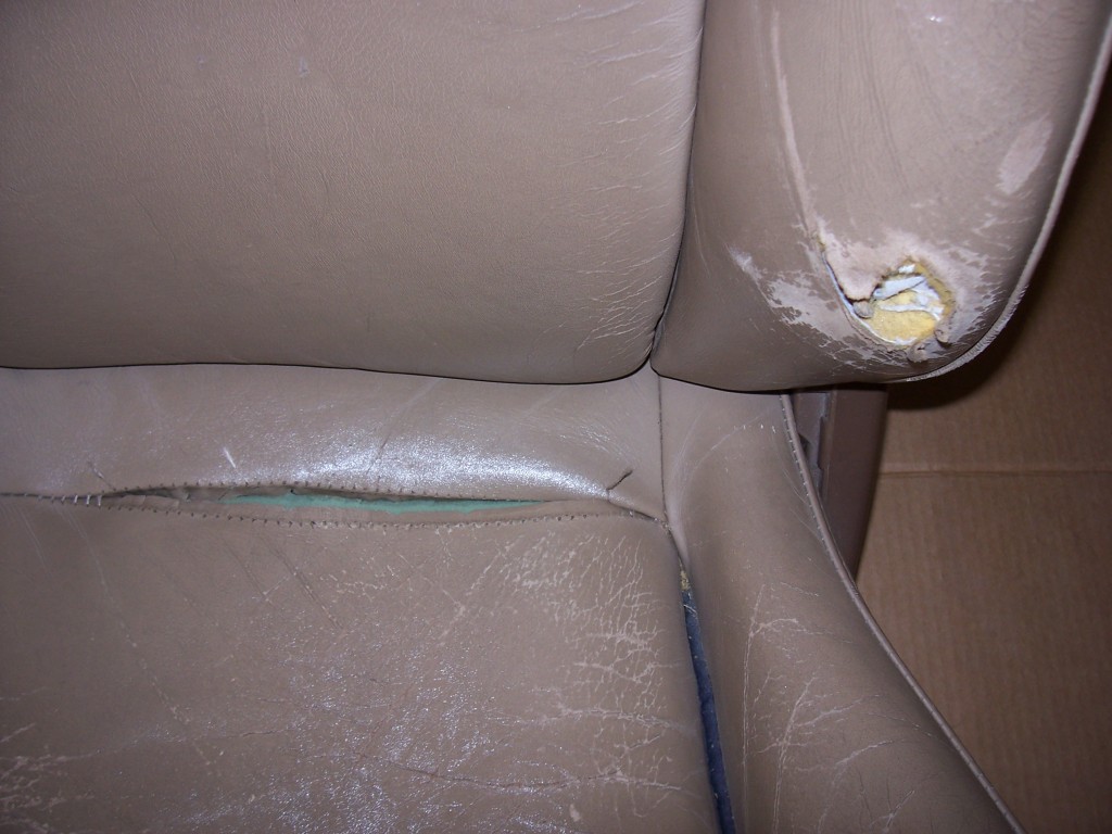 Name:  100_1091_zps233efda8.jpg
Views: 105
Size:  144.2 KB