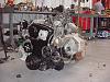 The Monster is Comin-mvc-024f.jpg