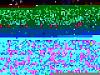 3/15 Meeting Roll Call-mvc-037f1.jpg