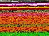Need to borrow wheels for a week or so.-z-bumper-025.jpg