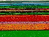 NHRA/Sony X-Plod Stylefest-dcp_0004a.jpg