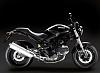 Buying a sport bike for the time being...-ducati_695.jpg