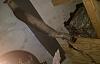 1988 z31 Front exhaust tube and Cat needed Help?-imag0238s.jpg