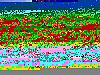 photos-"Freakmont"-intirior-350.jpg